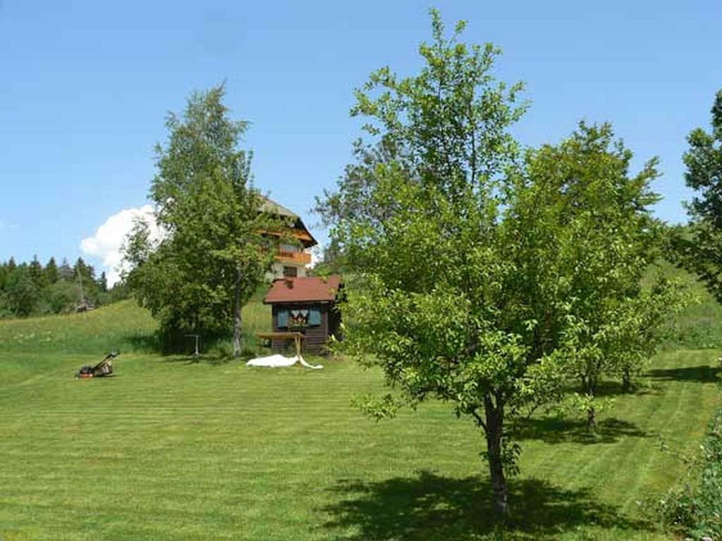 Gaestehaus Klingele Todtmoos Esterno foto